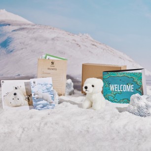 polar bear welcome pack contents on the snow