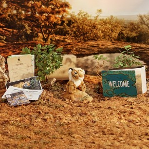 tiger welcome pack with background