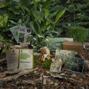 Jaguar adoption welcome pack contents on forest floor