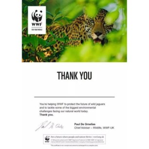 Jaguar adoption certificate