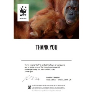 Orangutan adoption certificate