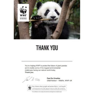 Panda adoption certificate