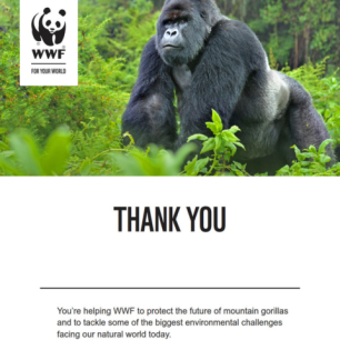 Letter thanking the supporter for adopting an animal with WWF