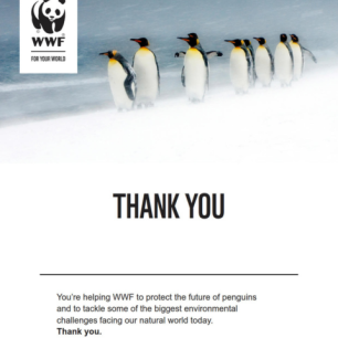 Letter thanking the supporter for adopting an animal with WWF