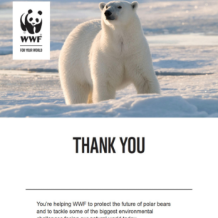 Letter thanking the supporter for adopting an animal with WWF