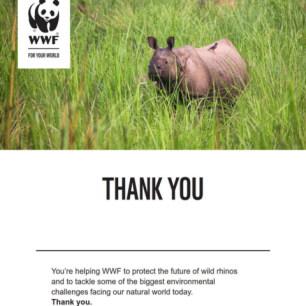 Letter thanking the supporter for adopting an animal with WWF