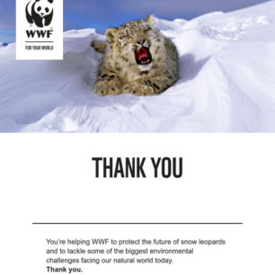 Letter thanking the supporter for adopting an animal with WWF