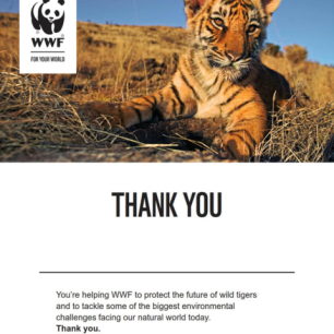 Letter thanking the supporter for adopting an animal with WWF