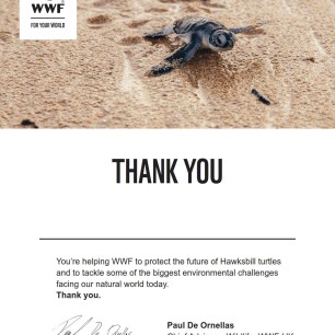 Letter thanking the supporter for adopting an animal with WWF
