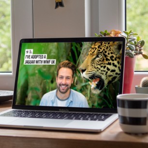 Laptop screen showing man with background image with roaring Jaguar