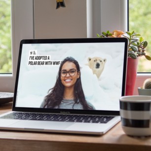 Laptop screen showing woman in front of background image of a Polar Bear