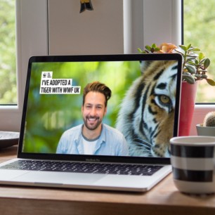 Laptop screen showing man with background image of Tiger