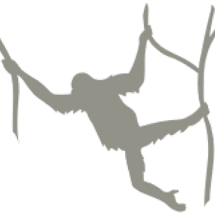 Silhouette graphic of orangutan swinging between tree branches