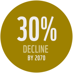 30% decline by 2070 predicted