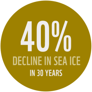 40% decline in sea ice in 30 years