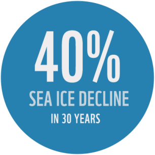 40% decline in sea ice in 30 years