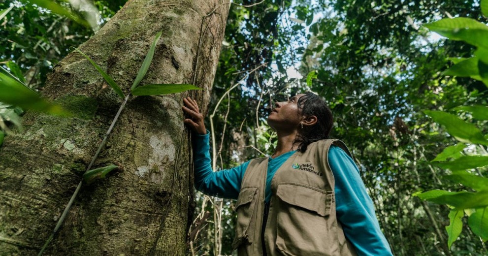 Environmental Promoter, Chiribiquete National Park