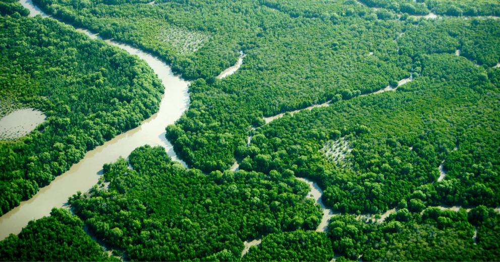 Aerial view of Rufiji delta in Tanzania