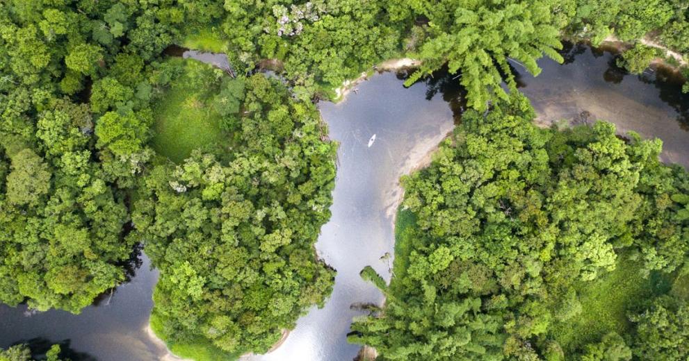 Aerial view of Amazon rainforest, Brazil