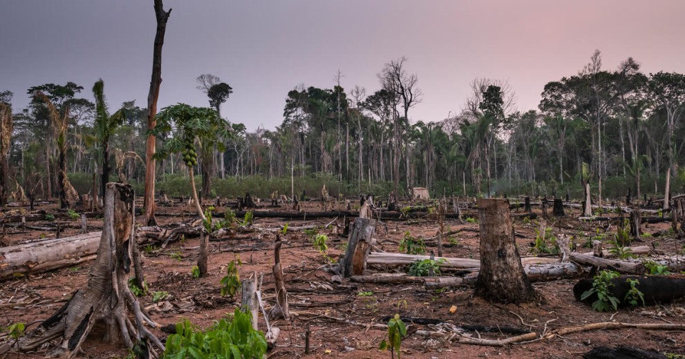 Deforestation in the Amazon rainforest surrounding the Uru-eu-wau-wau Indigenous Land.