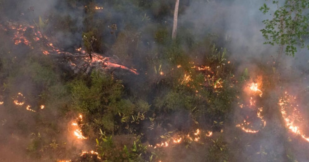 Aerial view of Amazon forest fire and deforestation