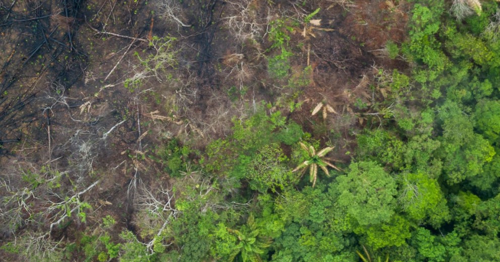 an aerial view of a deforested area of the Amazon Rainforest