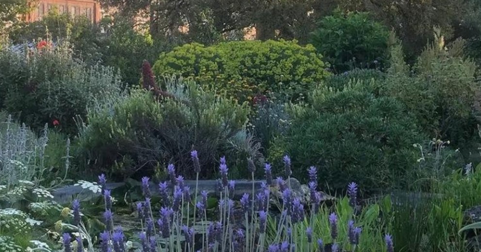 Chelsea Physic Garden with flowers and trees in a sunny day