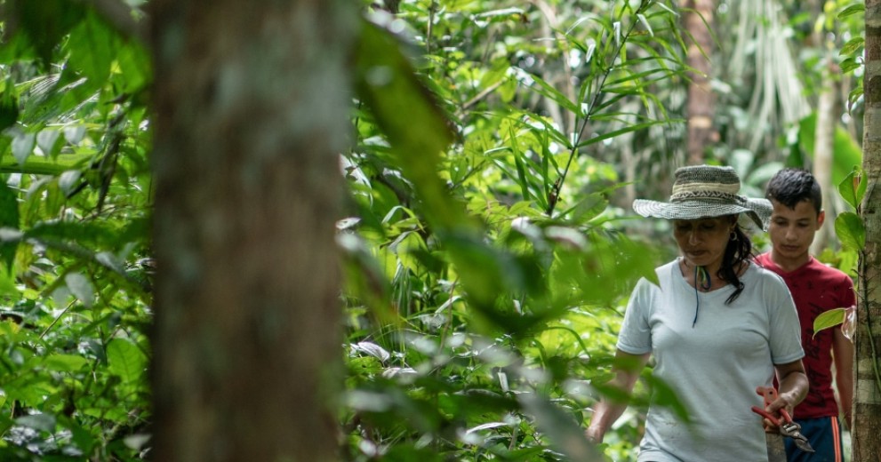 Environmental explorers walking through the forest in Colombia