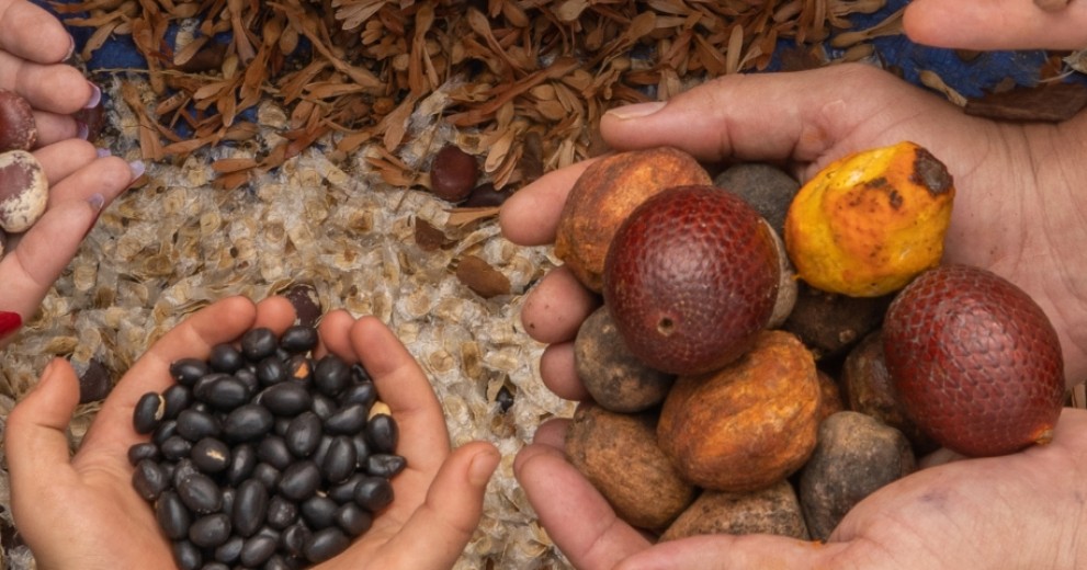 Three pairs of hands holding different types of seeds and fruits over a background of mixed natural materials.