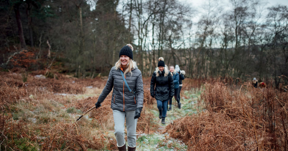 Winter Wander