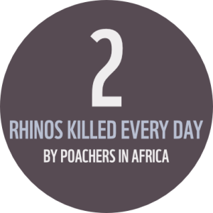 Round icon with text reading 2 Rhinos Killed Every Day By Poachers In Africa