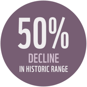 "50% decline in their historic range"