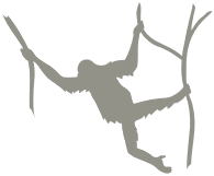 Silhouette graphic of orangutan swinging between tree branches