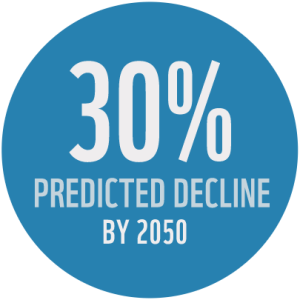 30% decline by 2050 predicted