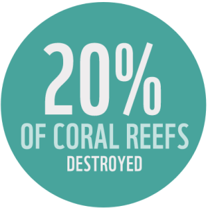 20% of coral reefs destroyed