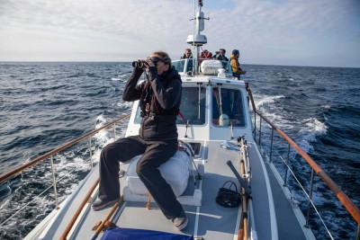 Team searching for Basking Sharks around the Isle of Mull