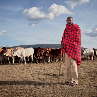 A pastoralist poses in front of his livestock
