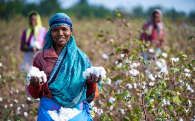 A woman stood next to cotton plants, her hands full of recently harvested cotton