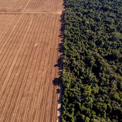 an aerial shot showing deforestation in the Amazon, where trees are burnt or cut down to make way for farmland