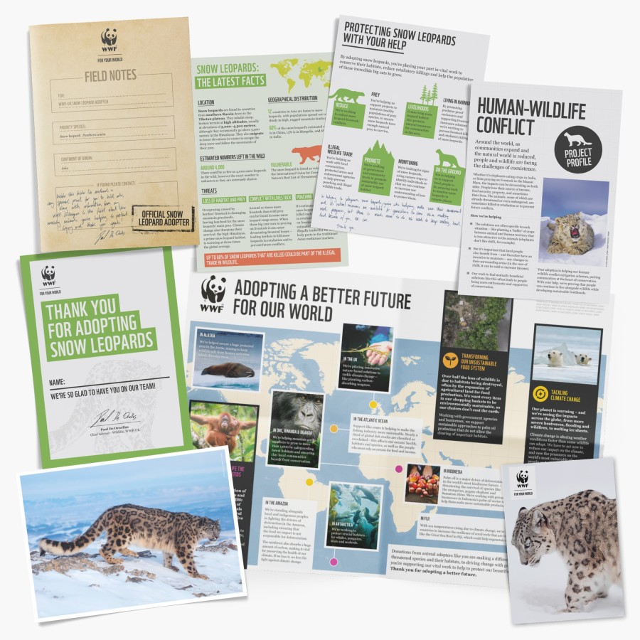 Contents of Snow Leopard adoption welcome pack