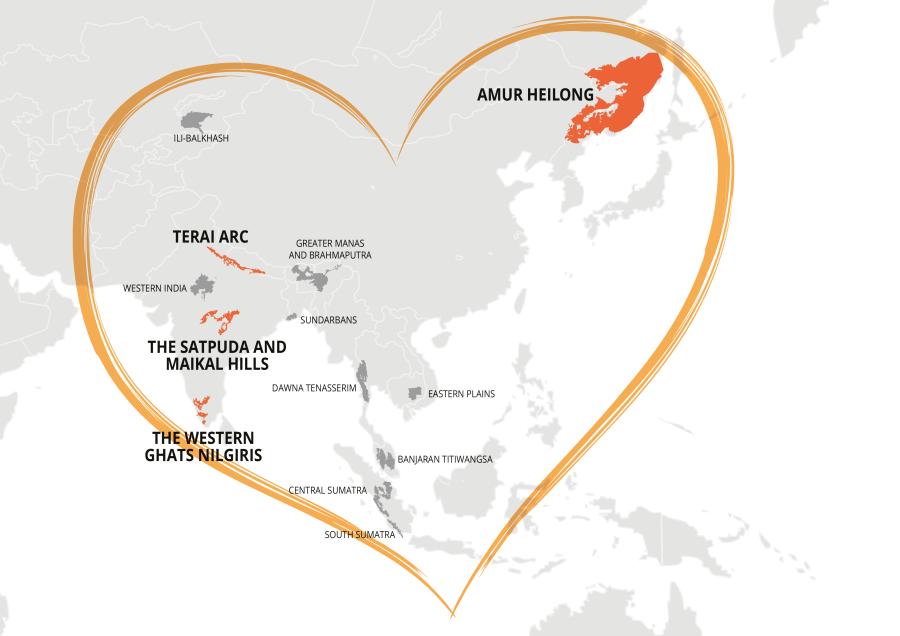 Tiger Heartlands Map