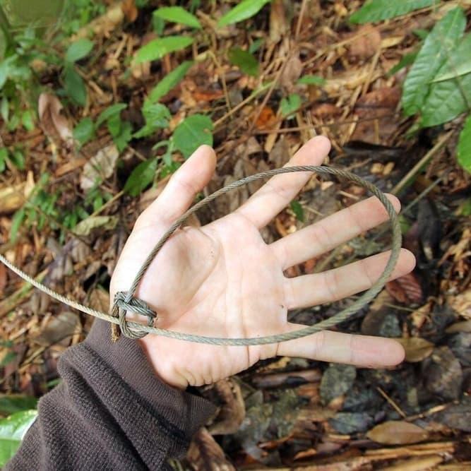 Close-up of a wire snare
