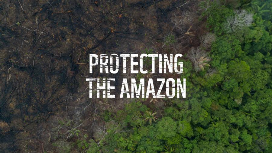 Aerial view of deforestation of the Amazon rainforest. Text Overlay; Protecting The Amazon