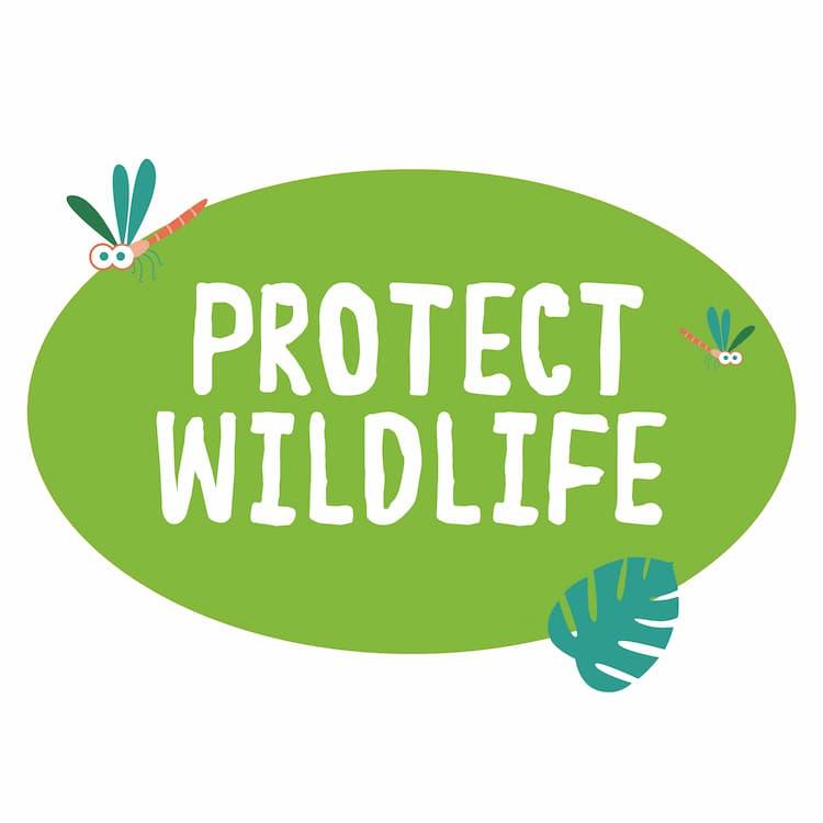 Text reading Protect Wildlife on green background