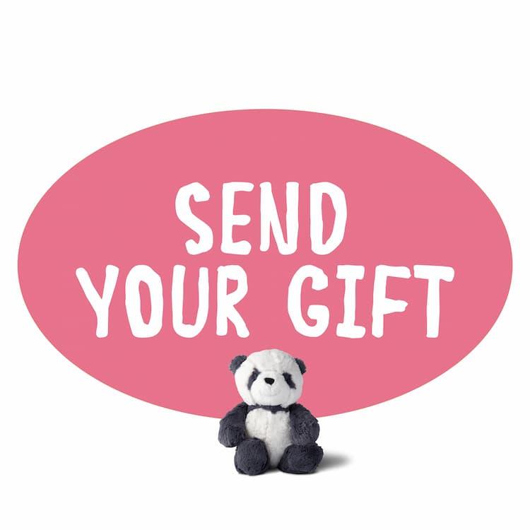 Text reading Send Your Gift with soft Panda toy on pink background