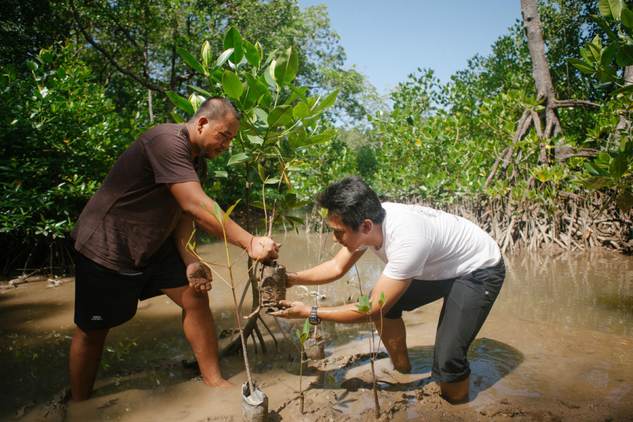Community Based Mangrove Conservation