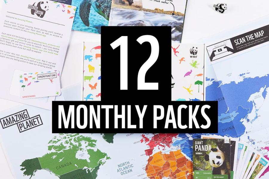 Amazing Planet 12 Monthly Packs