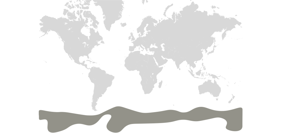 Penguin Map
