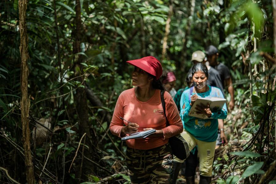 An Ecosystem Services Assessment (ESA) Technical Team