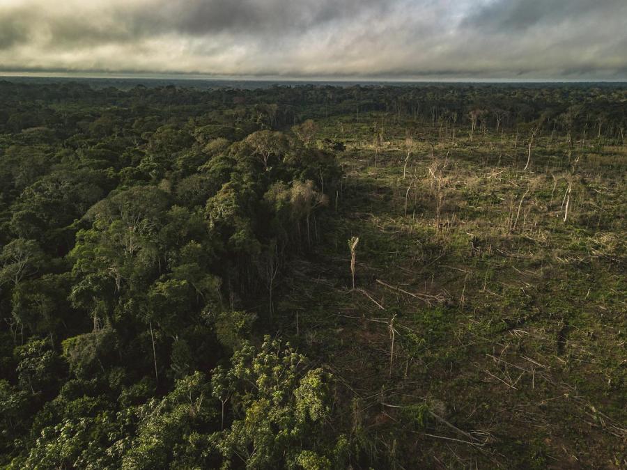 Amazon deforestation, municipality of Calamar, Guaviare Department, Colombia.